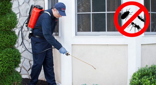 Çubuk Böcek ve Haşere İlaçlama böcek ilaçlama ve haşere kontrolü — ilaclama-tr.com